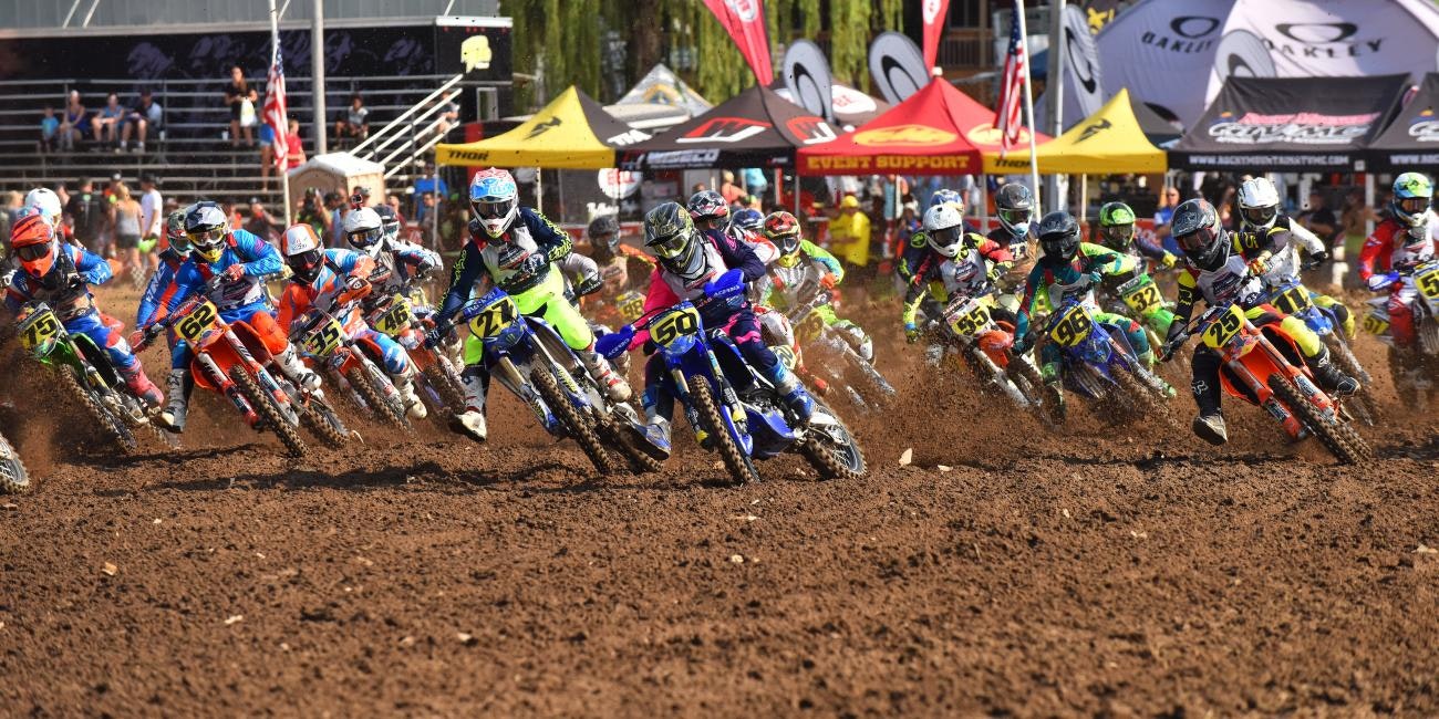 250 B Limited - Moto 2