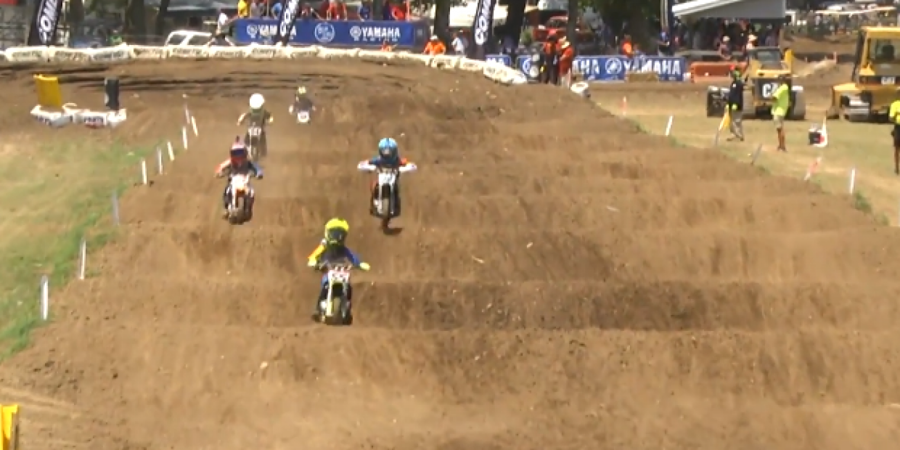 51 (4-6) Special Limited & 51 (4-6) Shaft Drive Ltd - Moto 1