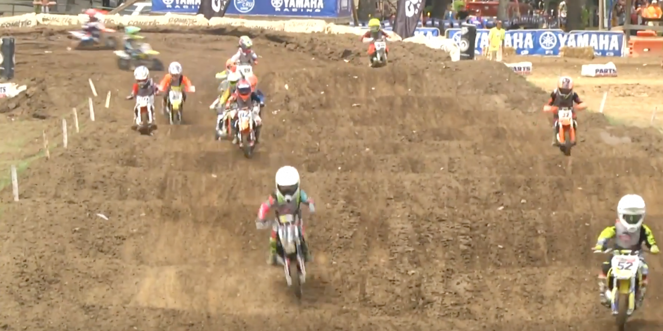 51 (4-6) Special Limited & 51 (4-6) Shaft Drive LTD - Moto 3